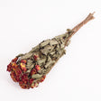 Dried Spray Roses, Fire Flash, Natural Red and Yellow in colour.  Image shows a full bunch of 10 stems.