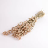 Lagurus, (Bunny Tails), Natural, Per Bunch