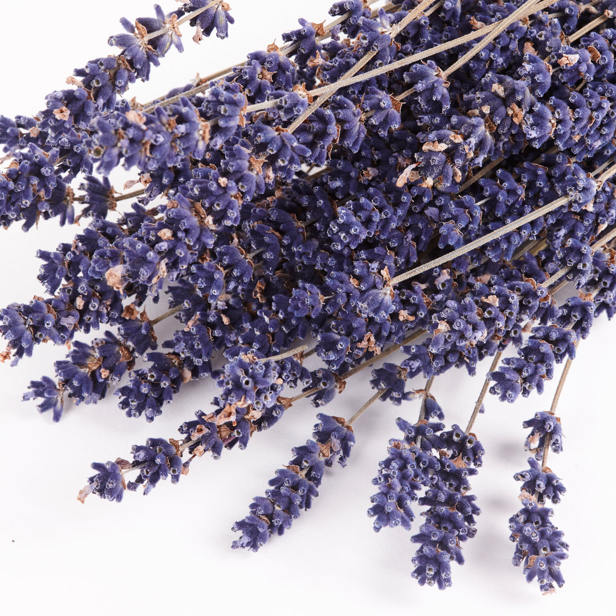 Lavender, Dried, Dark Blue, Per Bunch