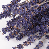 Lavender, Dried, Dark Blue, Per Bunch