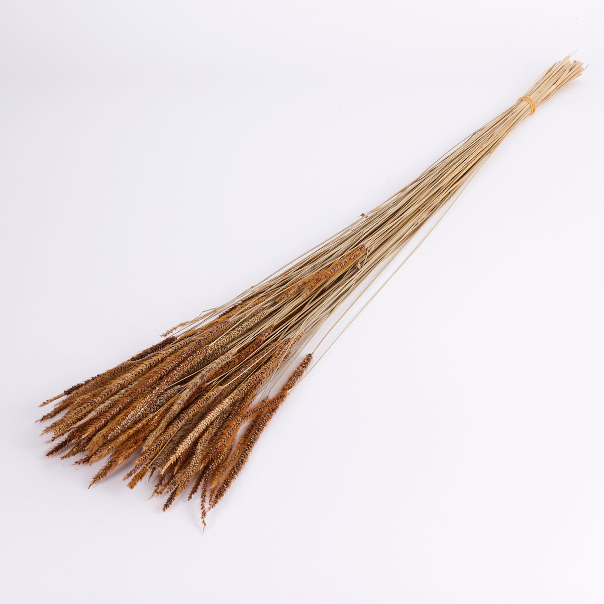 Carmen Grass, Dried, Natural Brown, 50g Bunch