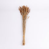 Carmen Grass, Dried, Natural Brown, 50g Bunch
