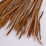 Carmen Grass, Dried, Natural Brown, 50g Bunch