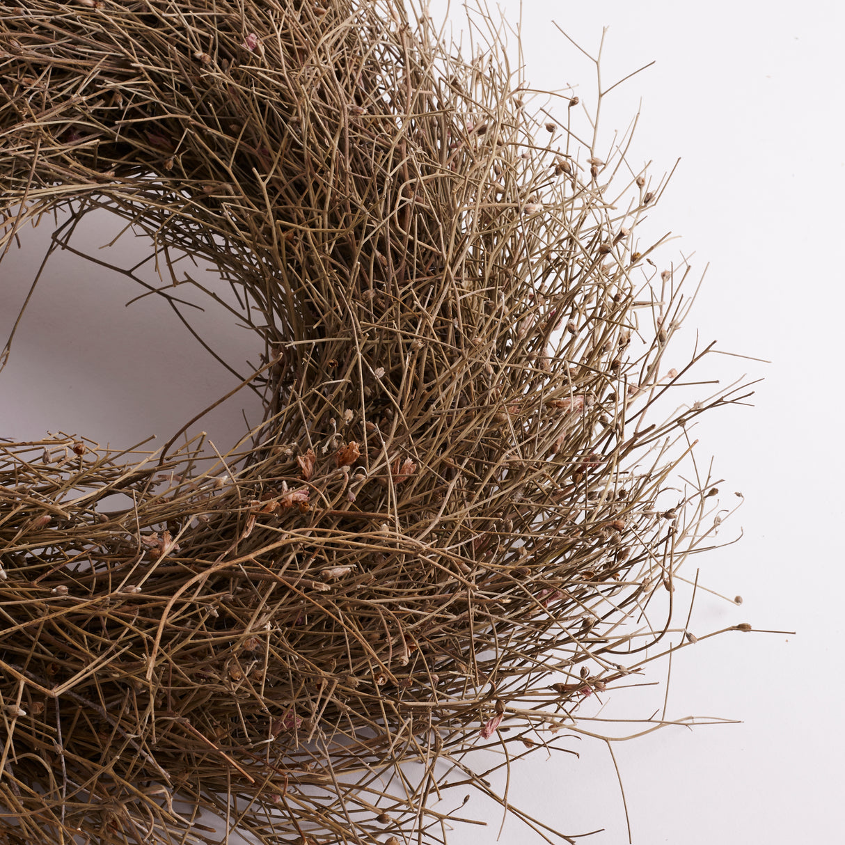 Wild Gypsophila Wreath, Dried, Natural, 40cm Diameter