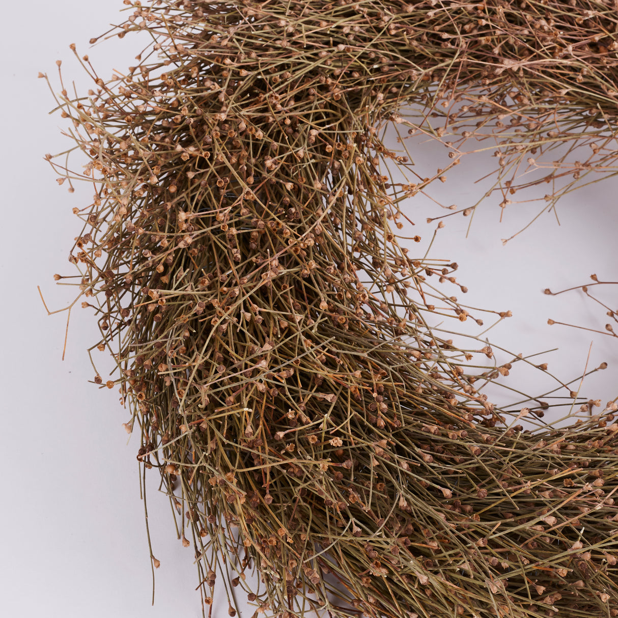 Wild Gypsophila Wreath, Dried, Natural, 50cm Diameter
