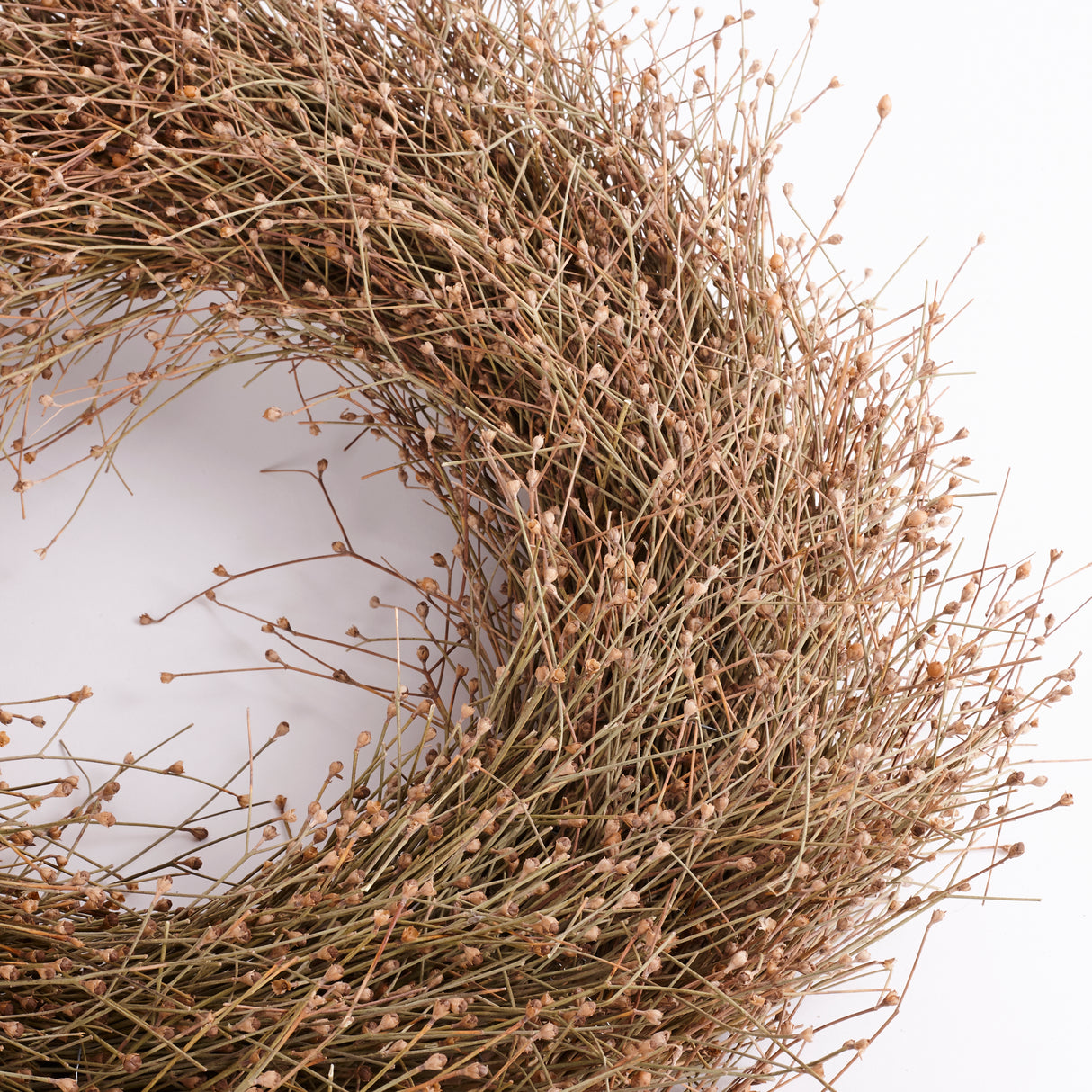Wild Gypsophila Wreath, Dried, Natural, 50cm Diameter