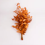 Ruscus, Soft, Orange, 100g Bunch
