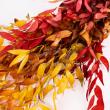 Ruscus, Soft, Autumn, 100g Bunch