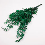 Ruscus, Soft, Pale Green, 100g Bunch