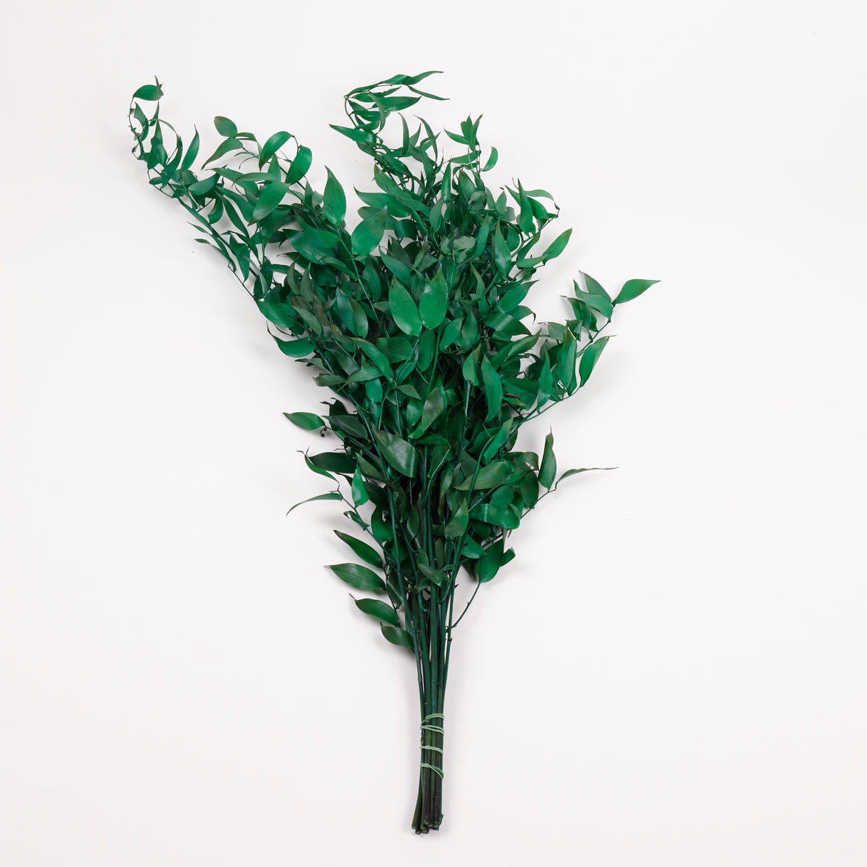 Ruscus, Soft, Pale Green, 100g Bunch