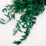 Ruscus, Soft, Pale Green, 100g Bunch
