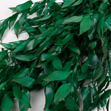 Ruscus, Soft, Pale Green, 100g Bunch