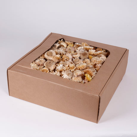 Helichrysum Heads, Dried, Natural White, per 1kg Box
