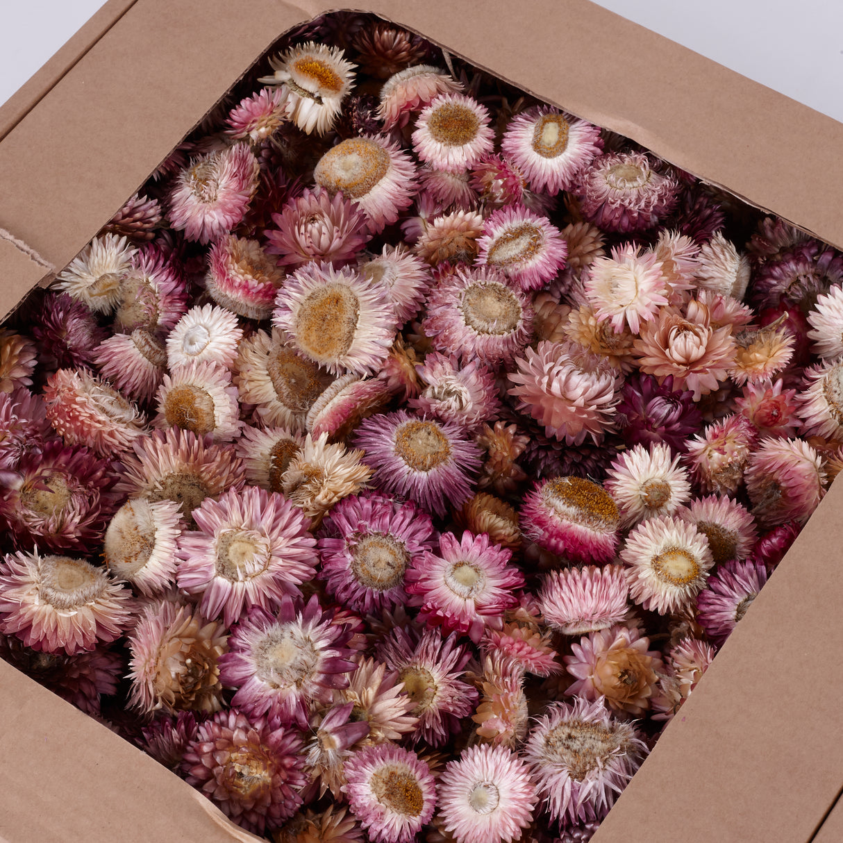 Helichrysum Heads, Dried, Natural Dark Pink, per 1kg Box