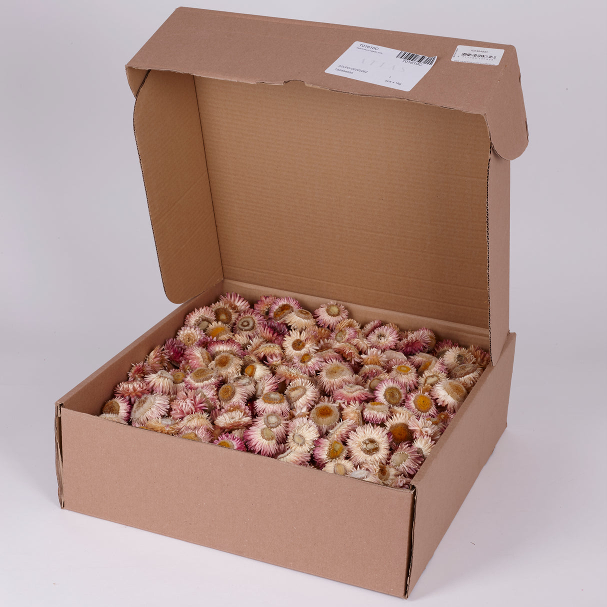 Helichrysum Heads, Dried, Natural Pink, per 1kg Box