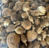 Poppy Seed Pods, (Papaver), Dried, Natural x 1.5kg