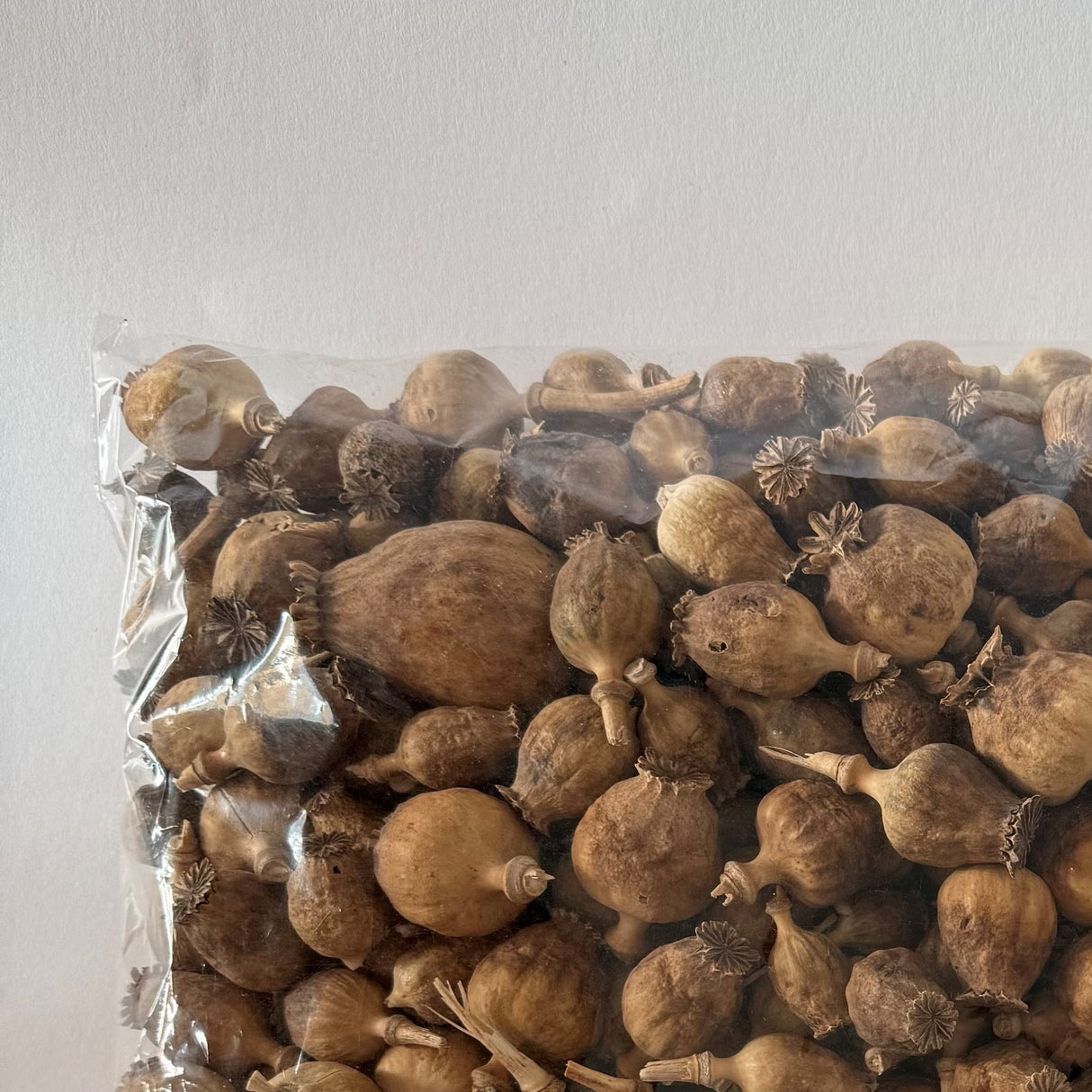 Poppy Seed Pods, (Papaver), Dried, Natural x 1.5kg