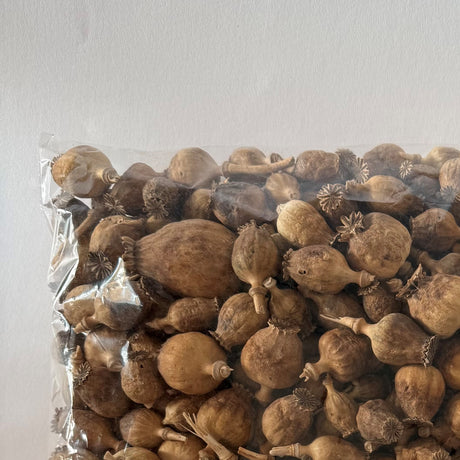 Poppy Seed Pods, (Papaver), Dried, Natural x 1.5kg