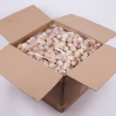 Poppy Seed Pods (Papaver) - Premium Quality, Dried, Natural x 4.5kg