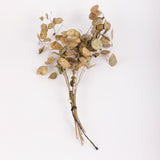 Lunaria (Honesty), British, Unpeeled, Bunch x 5 Stems