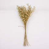 Penny Cress (Thlaspi arvense), British, Dried, Natural, 60cm Bunch 10 stems