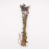 Jacobs Ladder (Polemoniuim), British, Dried, Natural, 60cm Bunch 10 stems