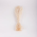 Agrostis (Bent Grass), Dried, White, 50g Bunch