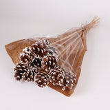 Pine cone on Pick, Natural with White Tip, Bunch x 12
