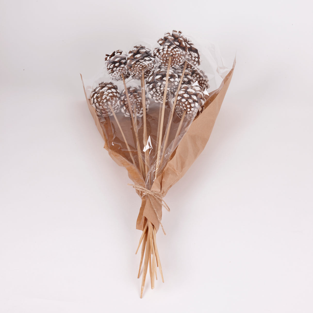 Pine cone on Pick, Natural with White Tip, Bunch x 12