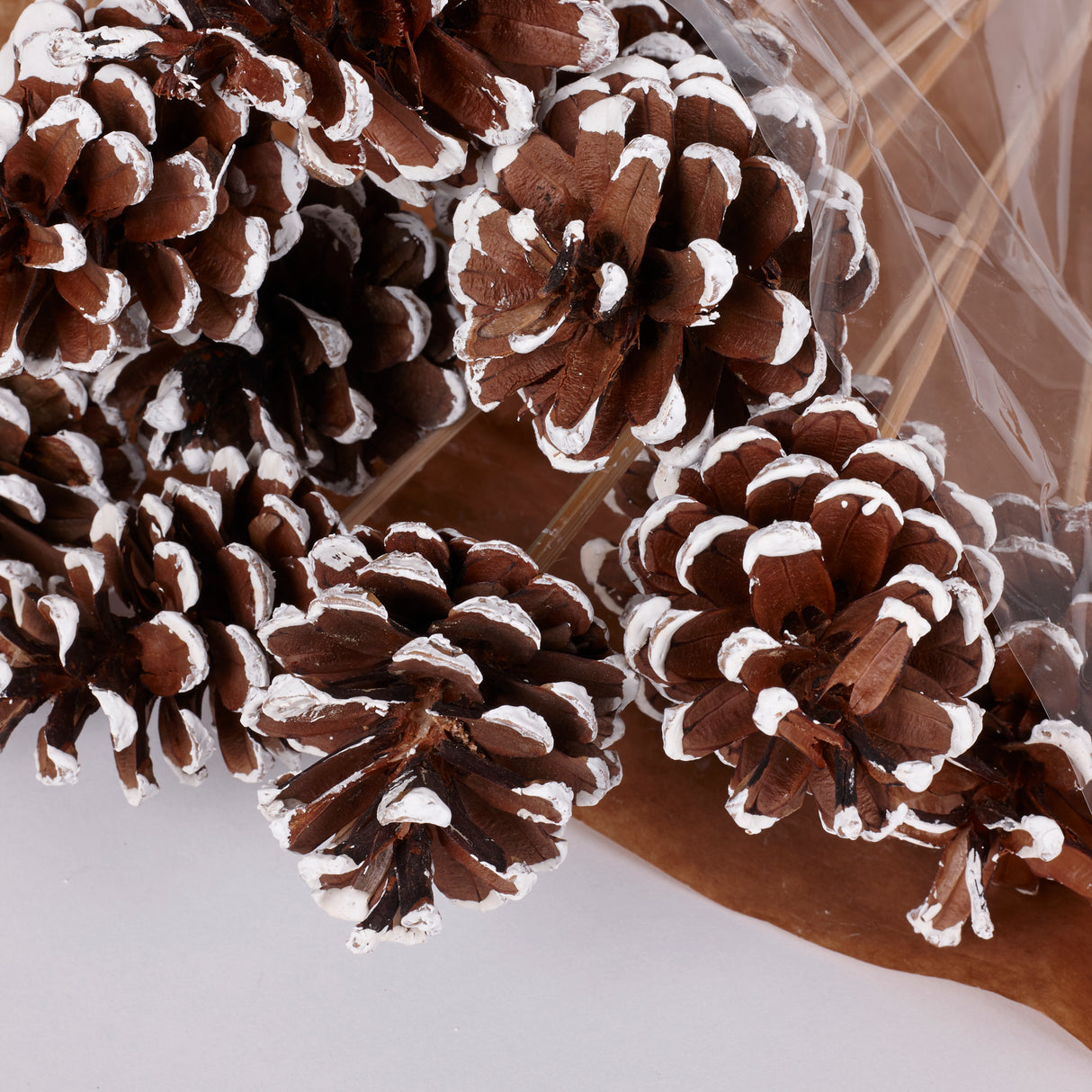 Pine cone on Pick, Natural with White Tip, Bunch x 12
