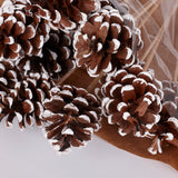 Pine cone on Pick, Natural with White Tip, Bunch x 12