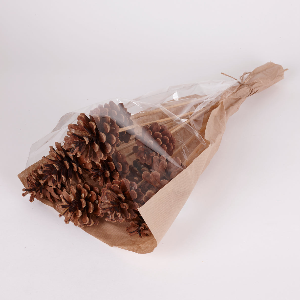Pine cone on Pick, Natural, Bunch x 12
