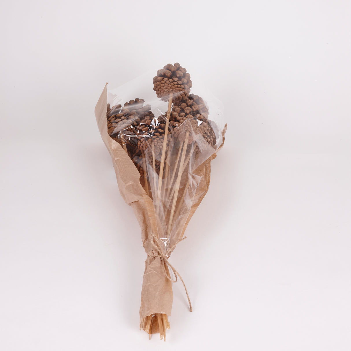 Pine cone on Pick, Natural, Bunch x 12