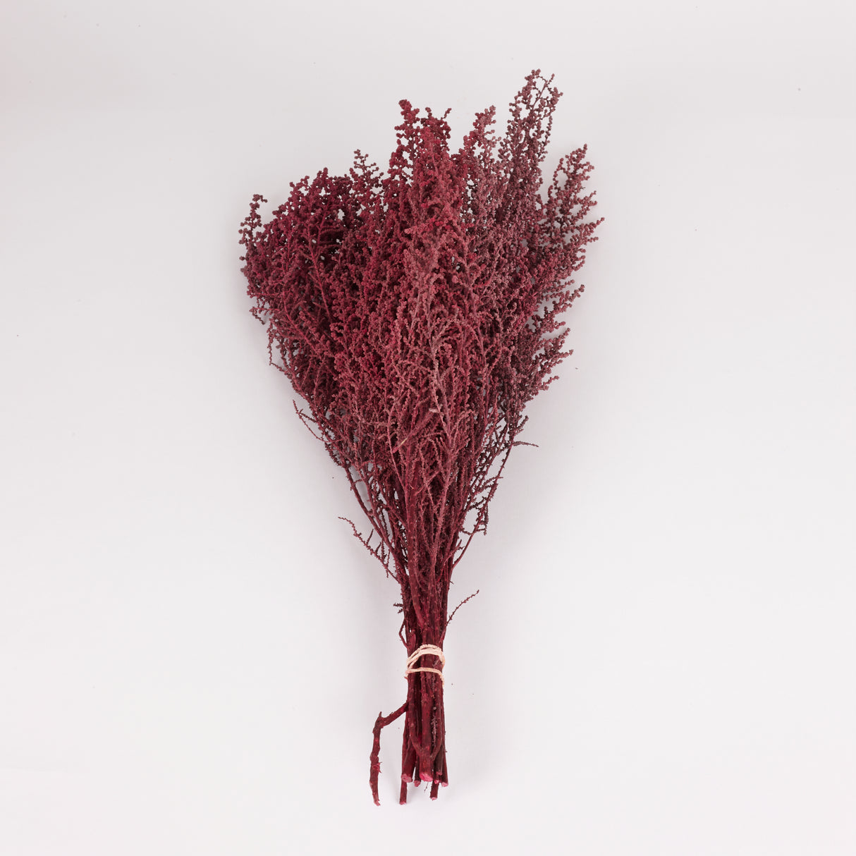 Stoebe, Preserved, Byzantium, Bunch