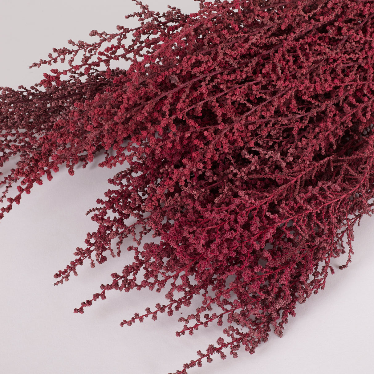 Stoebe, Preserved, Byzantium, Bunch