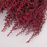 Stoebe, Preserved, Byzantium, Bunch