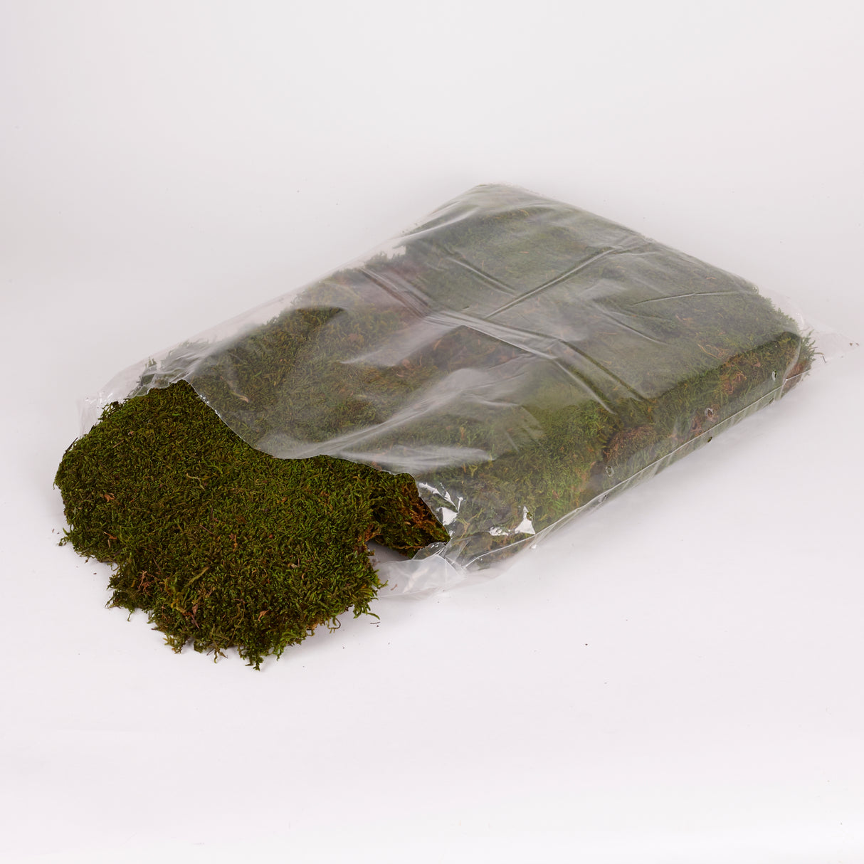 Flat Moss, Preserved, Green, 500g Bag