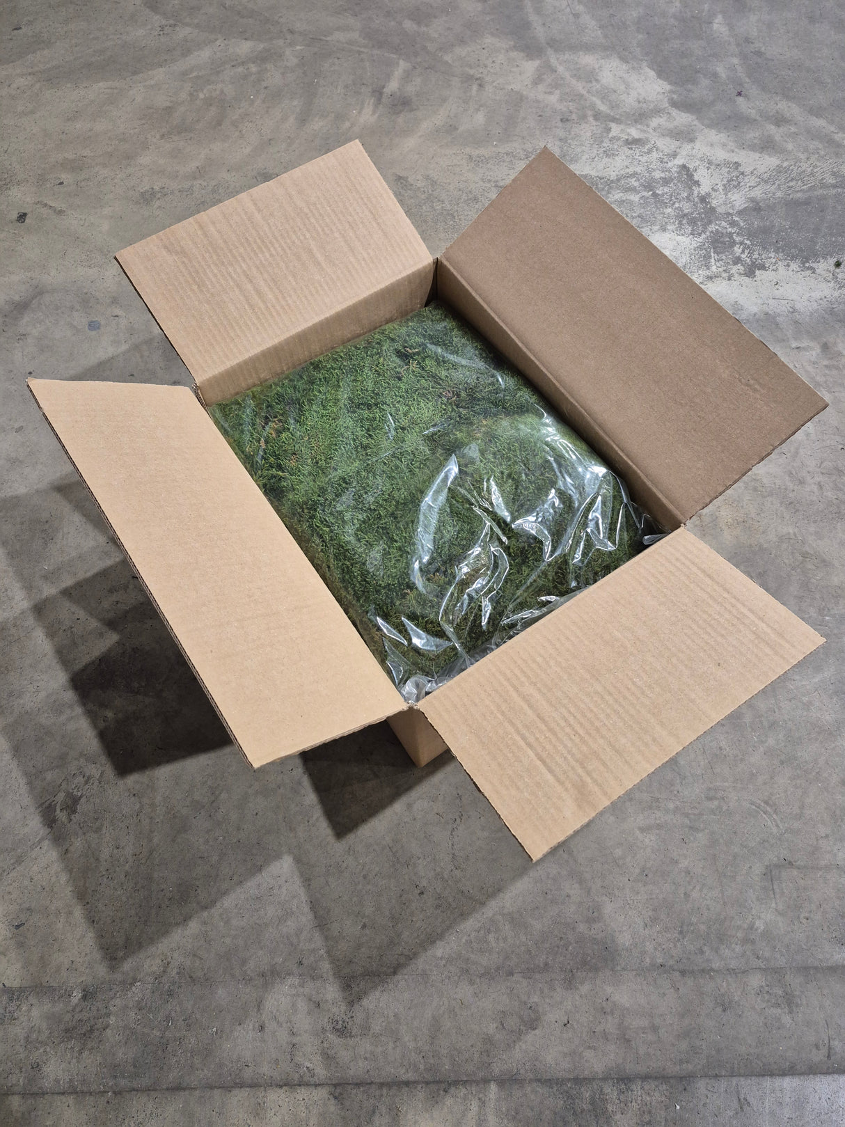 Flat Moss, Preserved, Green, box x 2kg