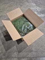 Flat Moss, Preserved, Green, box x 2kg