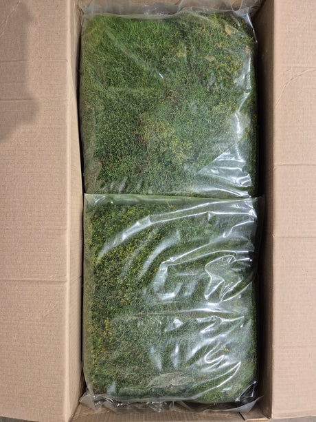 Flat Moss, Preserved, Green, box x 4kg