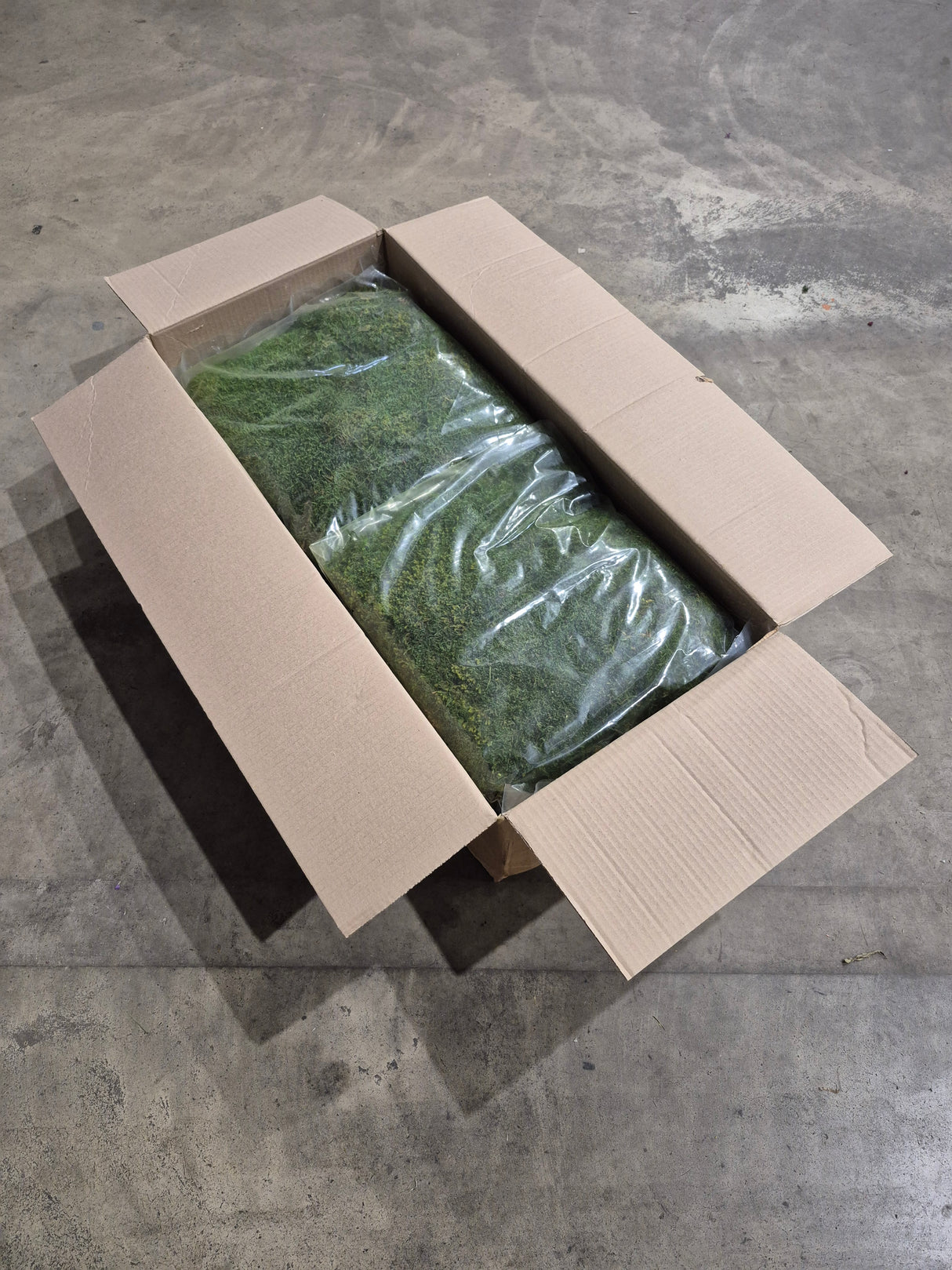 Flat Moss, Preserved, Green, box x 4kg