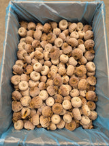 Poppy Pods, Austrian, (Seedless), (Papaver) - 3.5kg Box