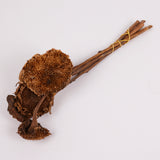 Sunflowers, Natural and Dried, Bunch x 5 Stems
