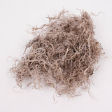 Forest Moss (Tillandsia), Preserved, Natural, 200g