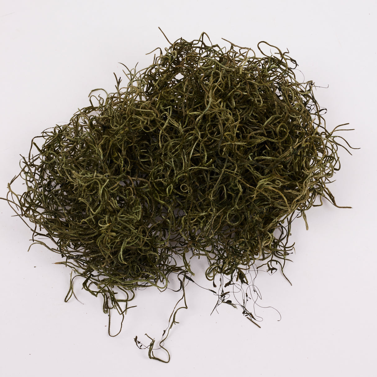 Forest Moss (Tillandsia), Preserved, Moss Green, 200g