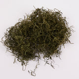 Forest Moss (Tillandsia), Preserved, Moss Green, 200g
