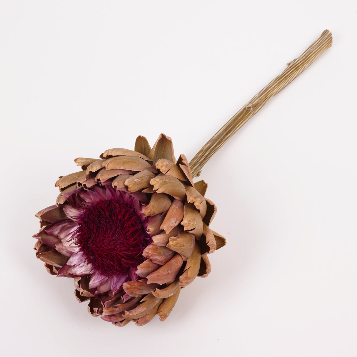Artichoke, Large, Natural, Per Stem