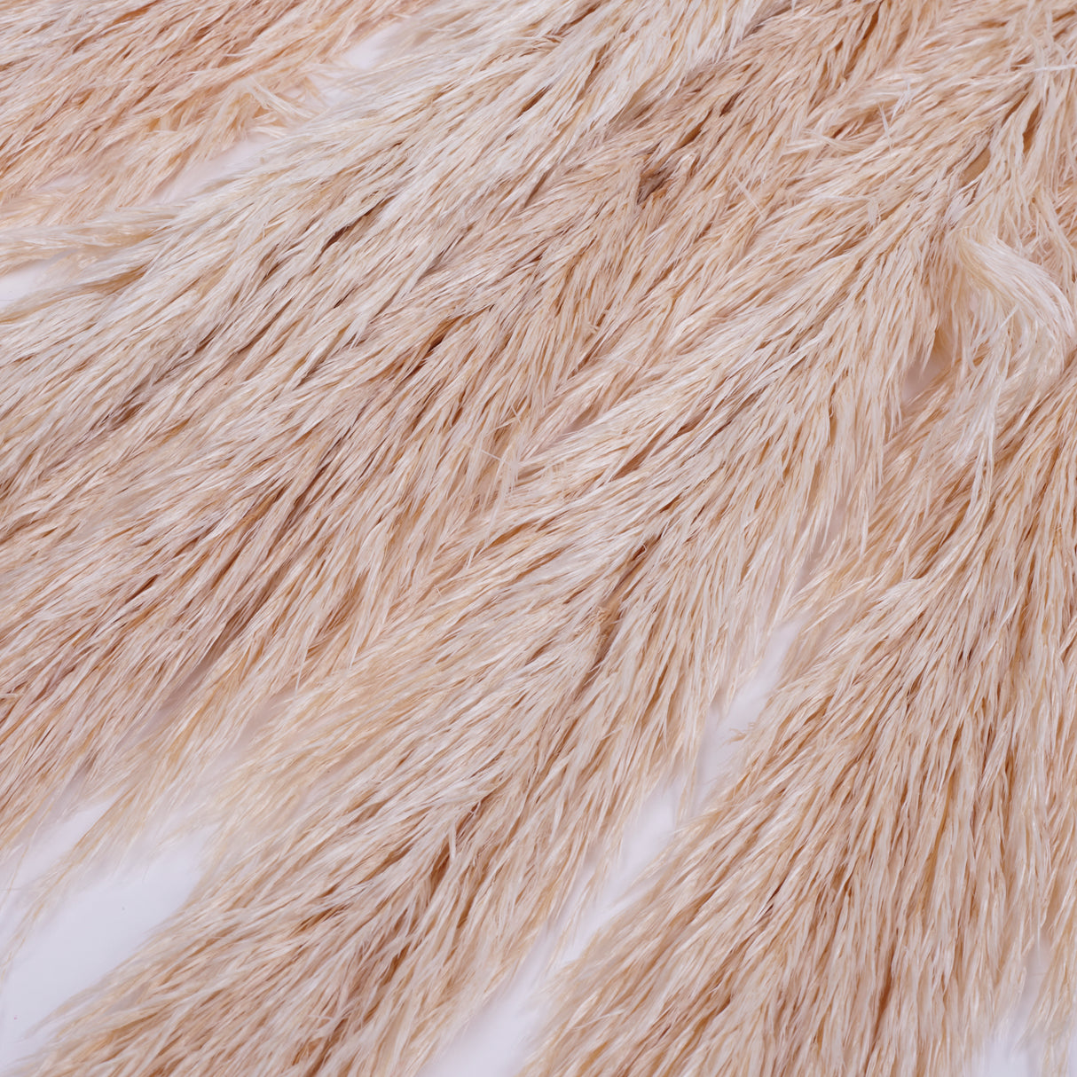 Pampas Grass, Preserved, White, Bunch