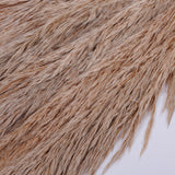 Pampas Grass, Preserved, Toasted, Bunch