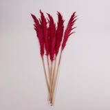 Pampas Grass, Preserved, Dark Pink, Bunch
